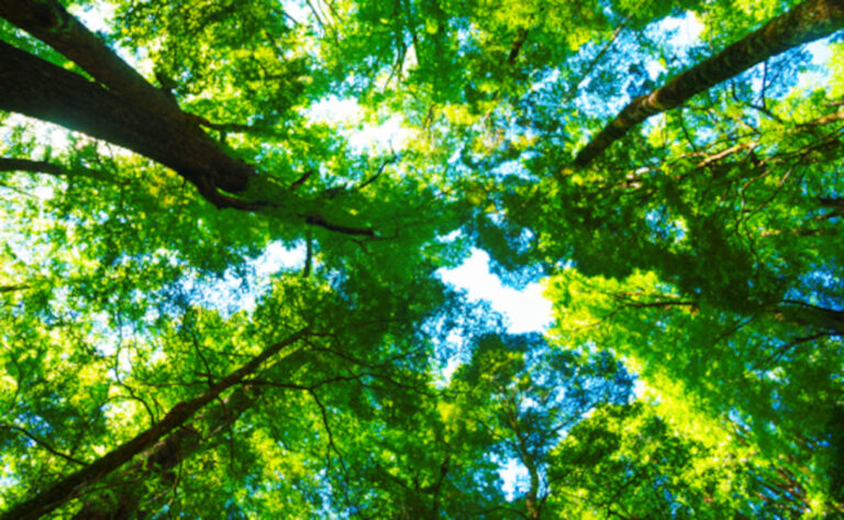 Νέα Χαρακτηριστικά του eCognition 8.7
